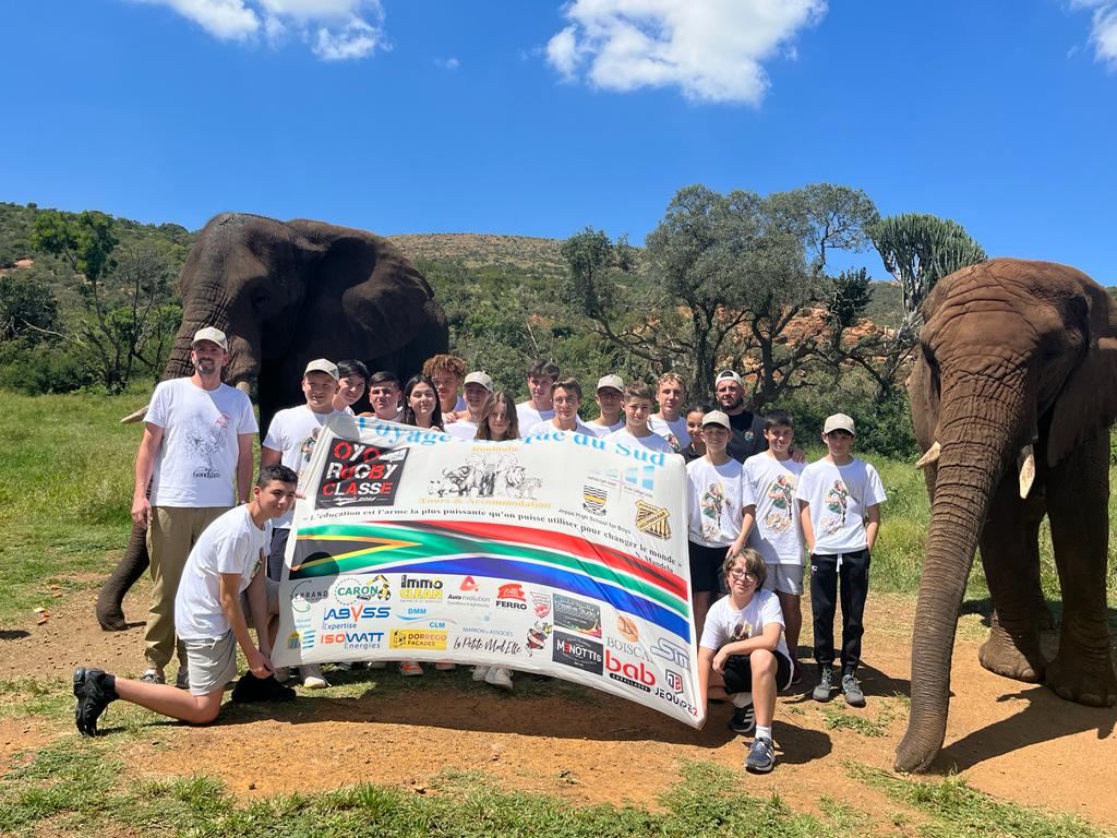 8a5a470d-d9a8-4af9-bdf3-48635bc75e43