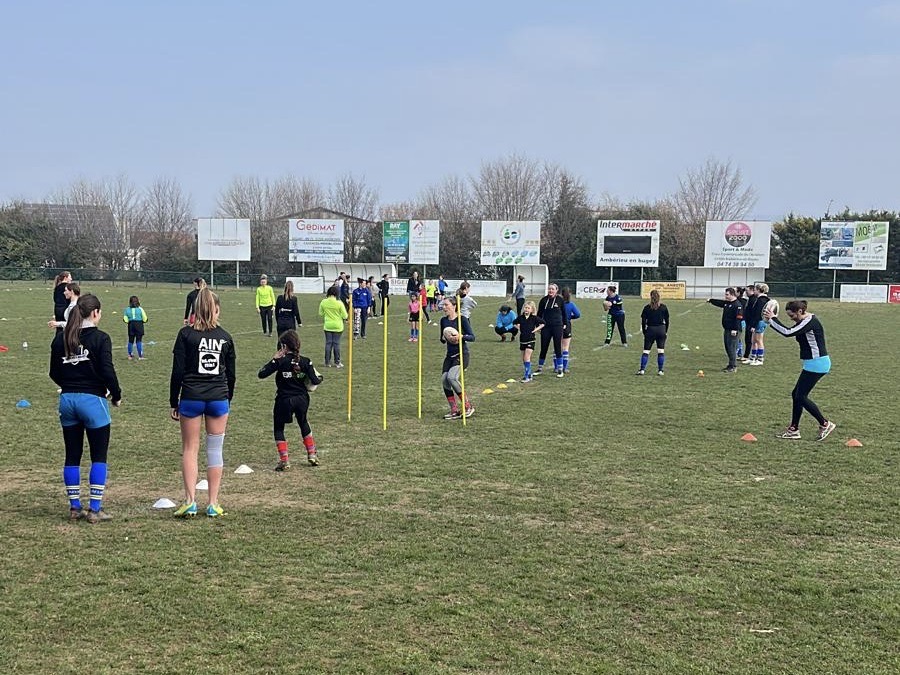 d23bf316-9273-4781-bfb0-210b66c4d60b