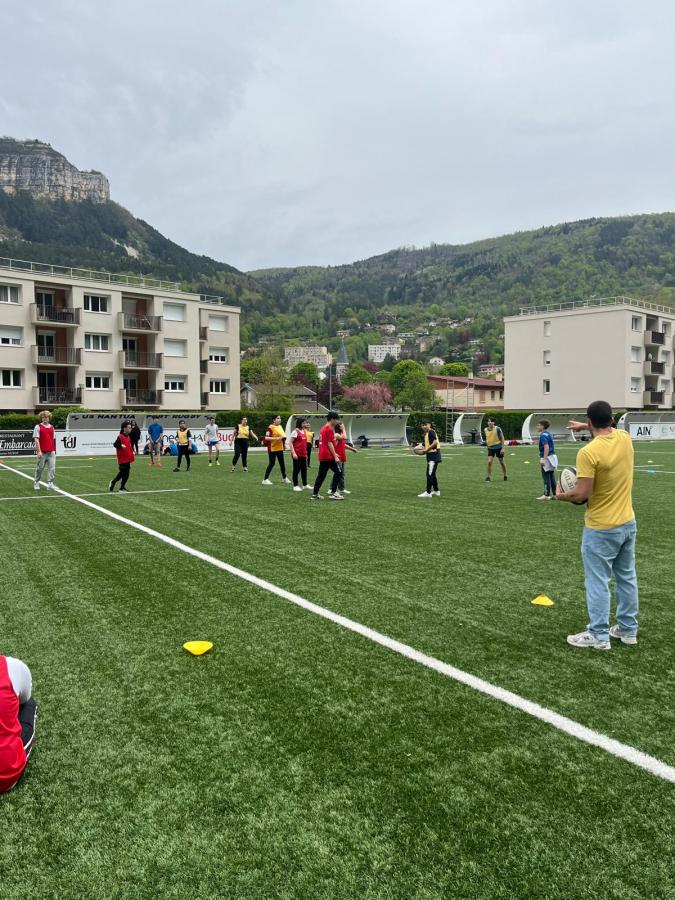 e0115af8-b6dd-4397-a0d1-d6391cfe803f