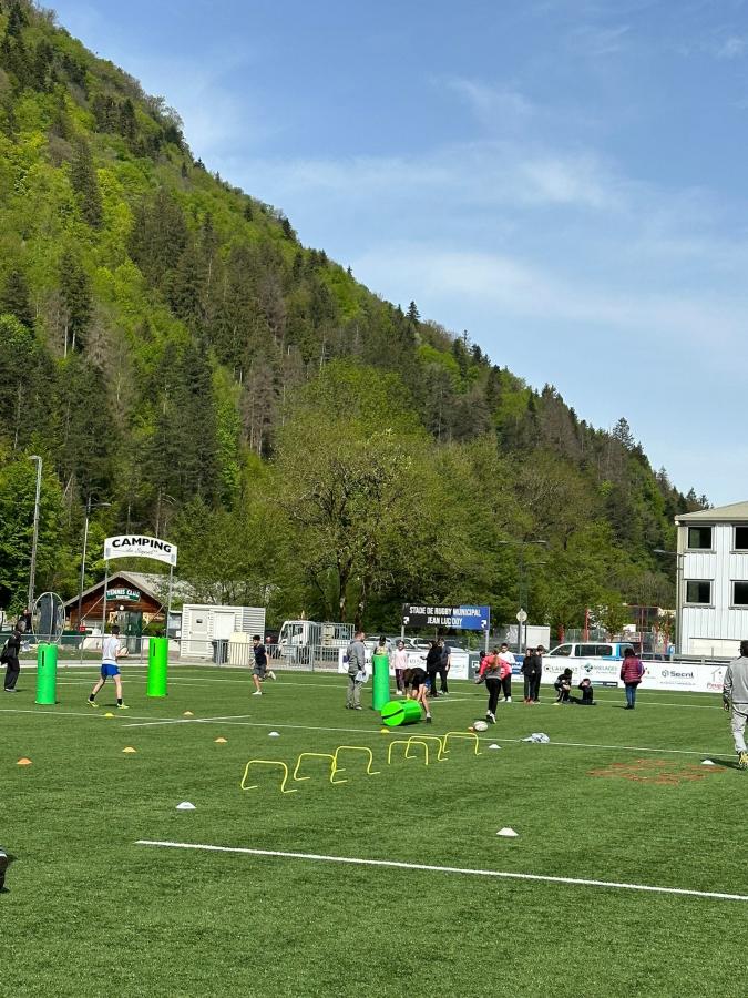 f0ff9536-4e08-4b33-950c-09e906fb282f